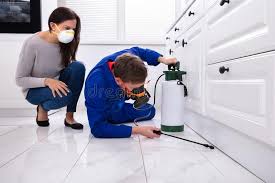 Best Real Estate Pest Inspections  in Newark, CA